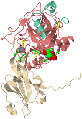 Image Asym. Unit - sites