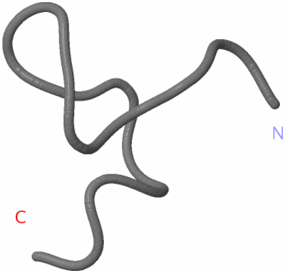 Image NMR Structure - model 1