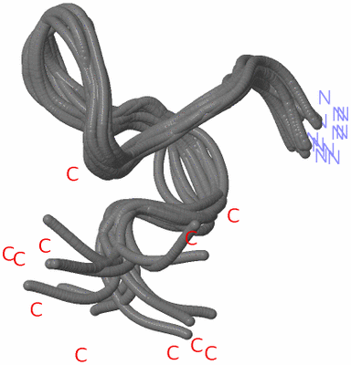 Image NMR Structure - all models