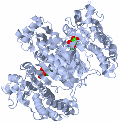 Image Biological Unit 1