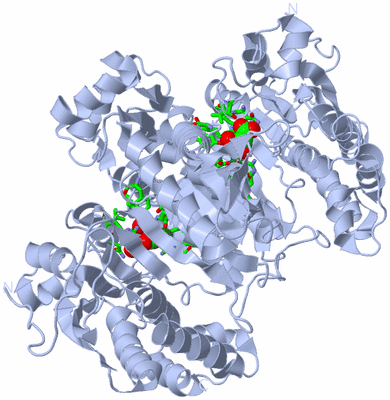 Image Biol. Unit 1 - sites