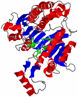 Image Asym. Unit - sites