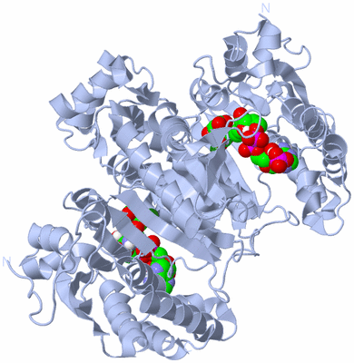 Image Biological Unit 1