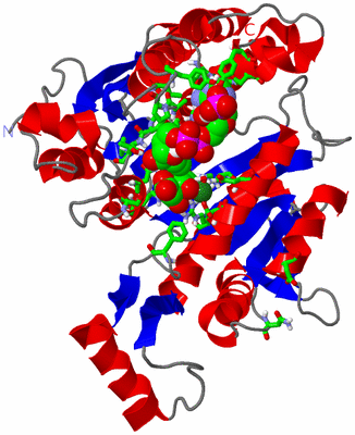 Image Asym. Unit - sites