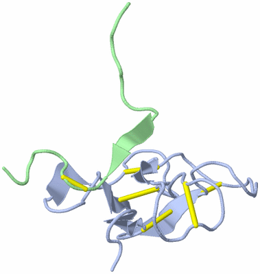 Image NMR Structure - model 1