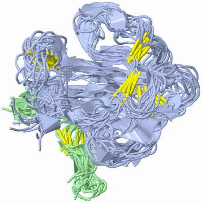 Image NMR Structure - all models