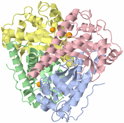 Image Asym./Biol. Unit