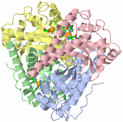 Image Asym./Biol. Unit - sites