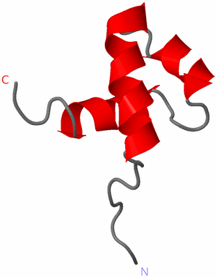 Image NMR Structure - model 1