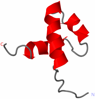 Image NMR Structure - model 1