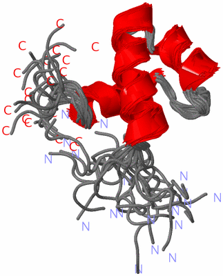 Image NMR Structure - all models