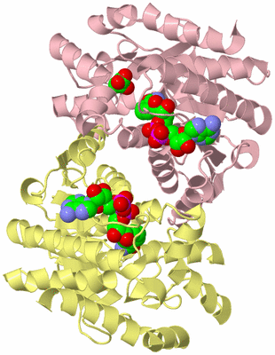 Image Biological Unit 2