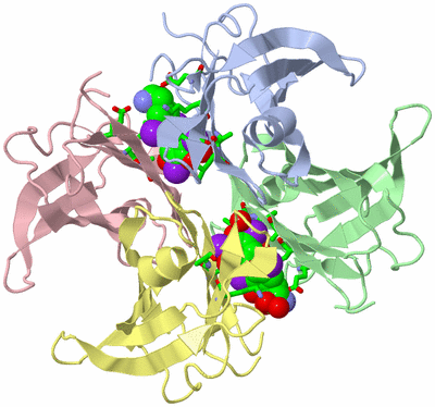 Image Asym./Biol. Unit - sites