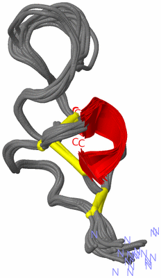 Image NMR Structure - all models