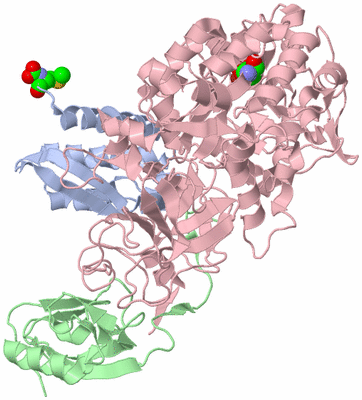 Image Biological Unit 1