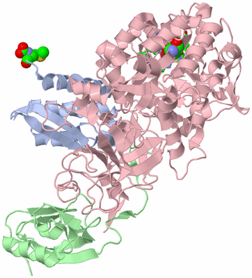 Image Biol. Unit 1 - sites