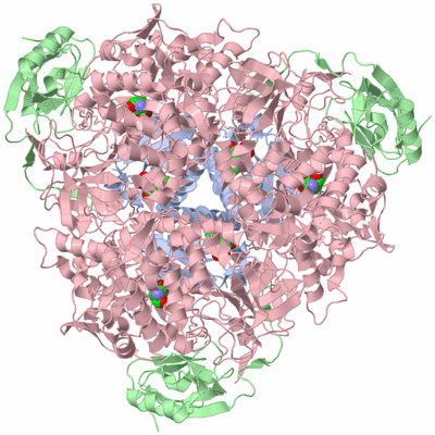 Image Biological Unit 2