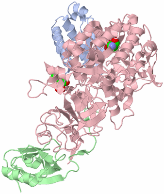 Image Biological Unit 3