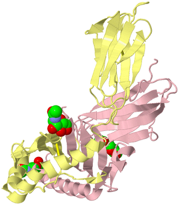 Image Biological Unit 2