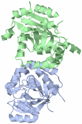 Image Asym./Biol. Unit