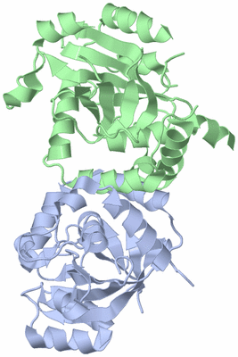 Image Asym./Biol. Unit