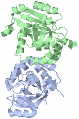 Image Asym./Biol. Unit