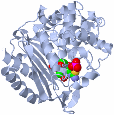 Image Biological Unit 1