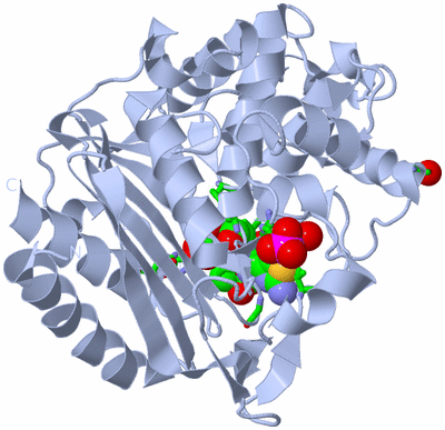 Image Biol. Unit 1 - sites