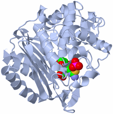 Image Biological Unit 1