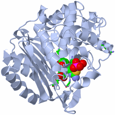 Image Biol. Unit 1 - sites