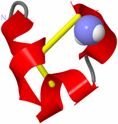 Image NMR Structure - model 1