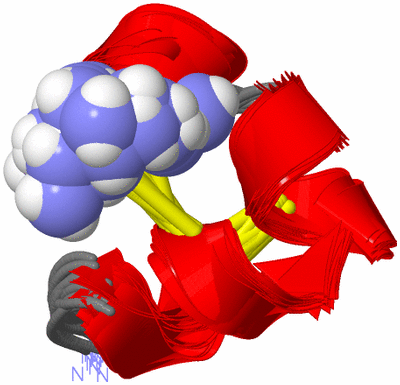 Image NMR Structure - all models