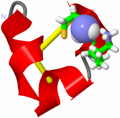 Image NMR Structure - model 1, sites