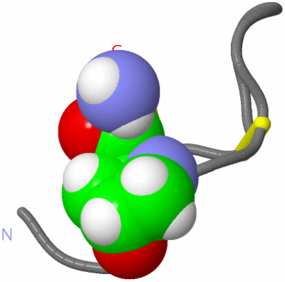 Image NMR Structure - model 1