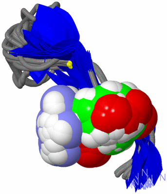 Image NMR Structure - all models