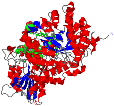 Image Asym./Biol. Unit - sites