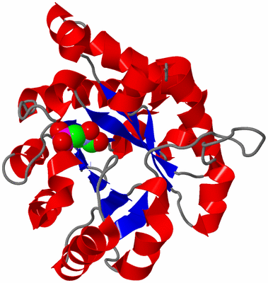 Image Asymmetric Unit