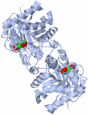Image Biological Unit 1