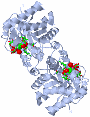 Image Biol. Unit 1 - sites