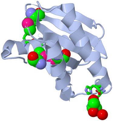 Image Biol. Unit 1 - sites