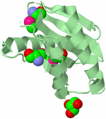 Image Biological Unit 2