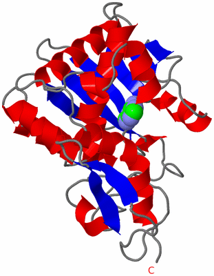 Image Asymmetric Unit