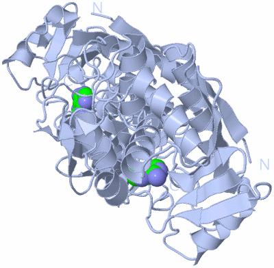 Image Biological Unit 1