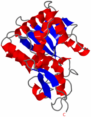 Image Asymmetric Unit