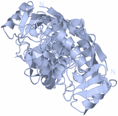 Image Biological Unit 1