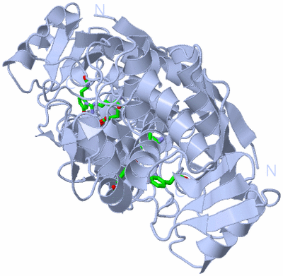Image Biol. Unit 1 - sites