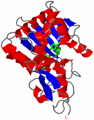Image Asym. Unit - sites