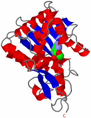 Image Asymmetric Unit