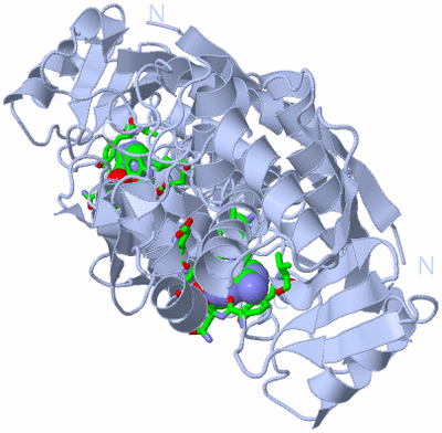 Image Biol. Unit 1 - sites