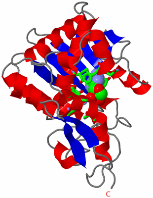 Image Asym. Unit - sites